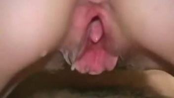 Amateur Creampie Bukkake Pussy Compilation 