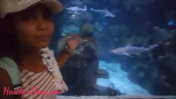 Asian Blowjob Teen Big Cock 